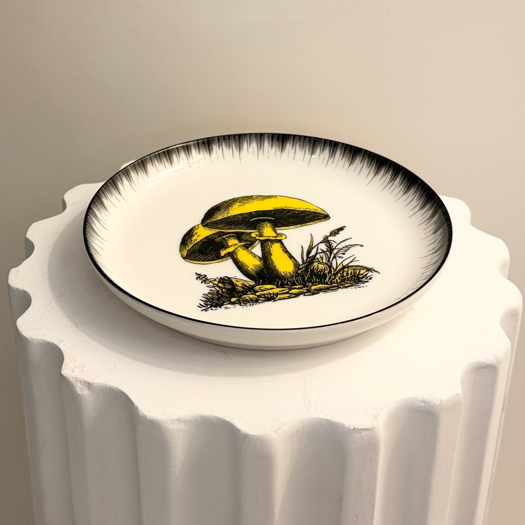 Plato Botanist Amarillo. Jonathan Adler