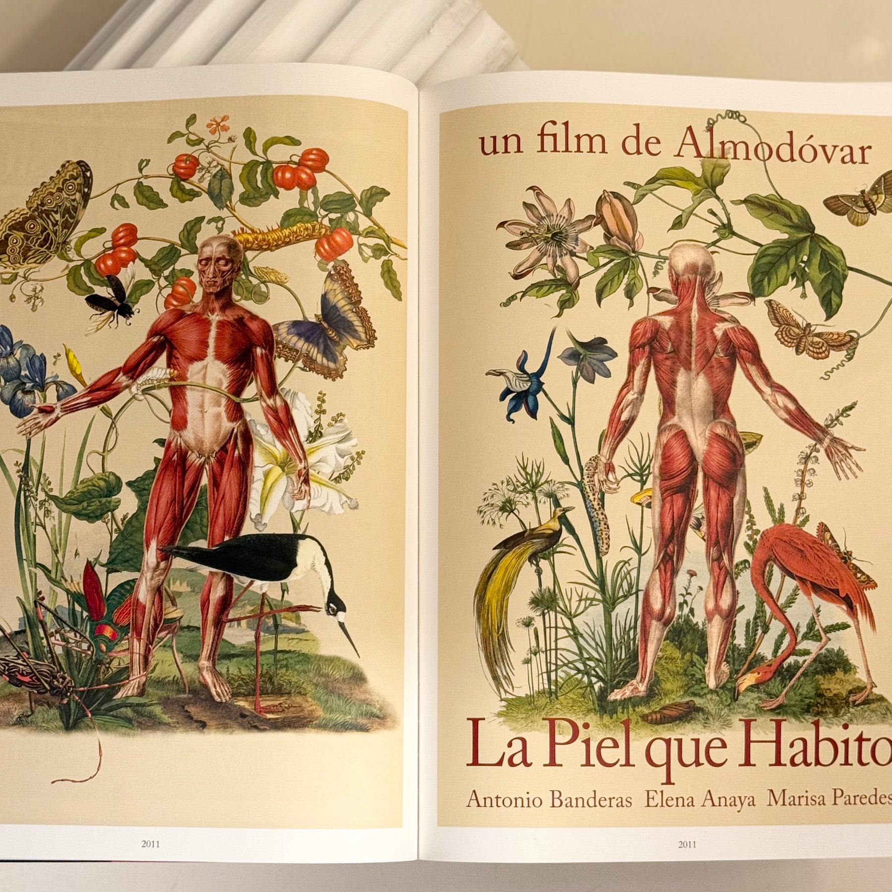 Juan Gatti. Visto y no visto