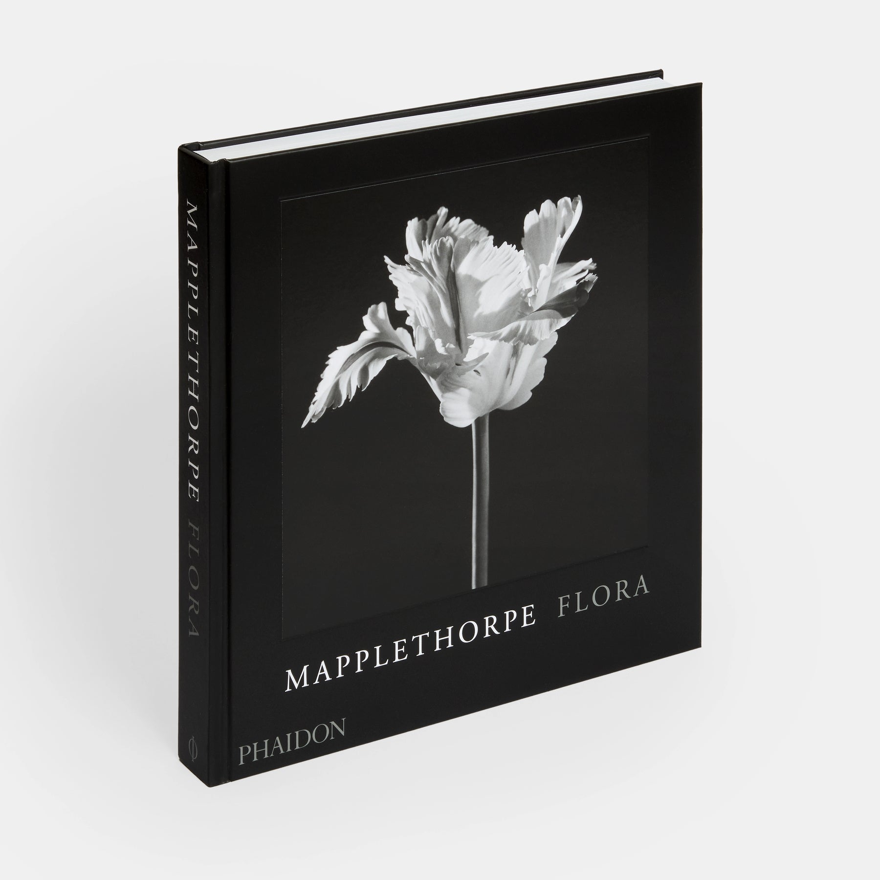 Mapplethorpe Flora