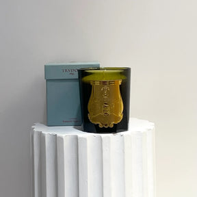 Vela Solis Rex. Trudon