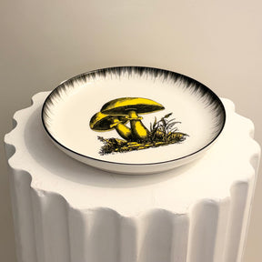 Plato Botanist Amarillo. Jonathan Adler