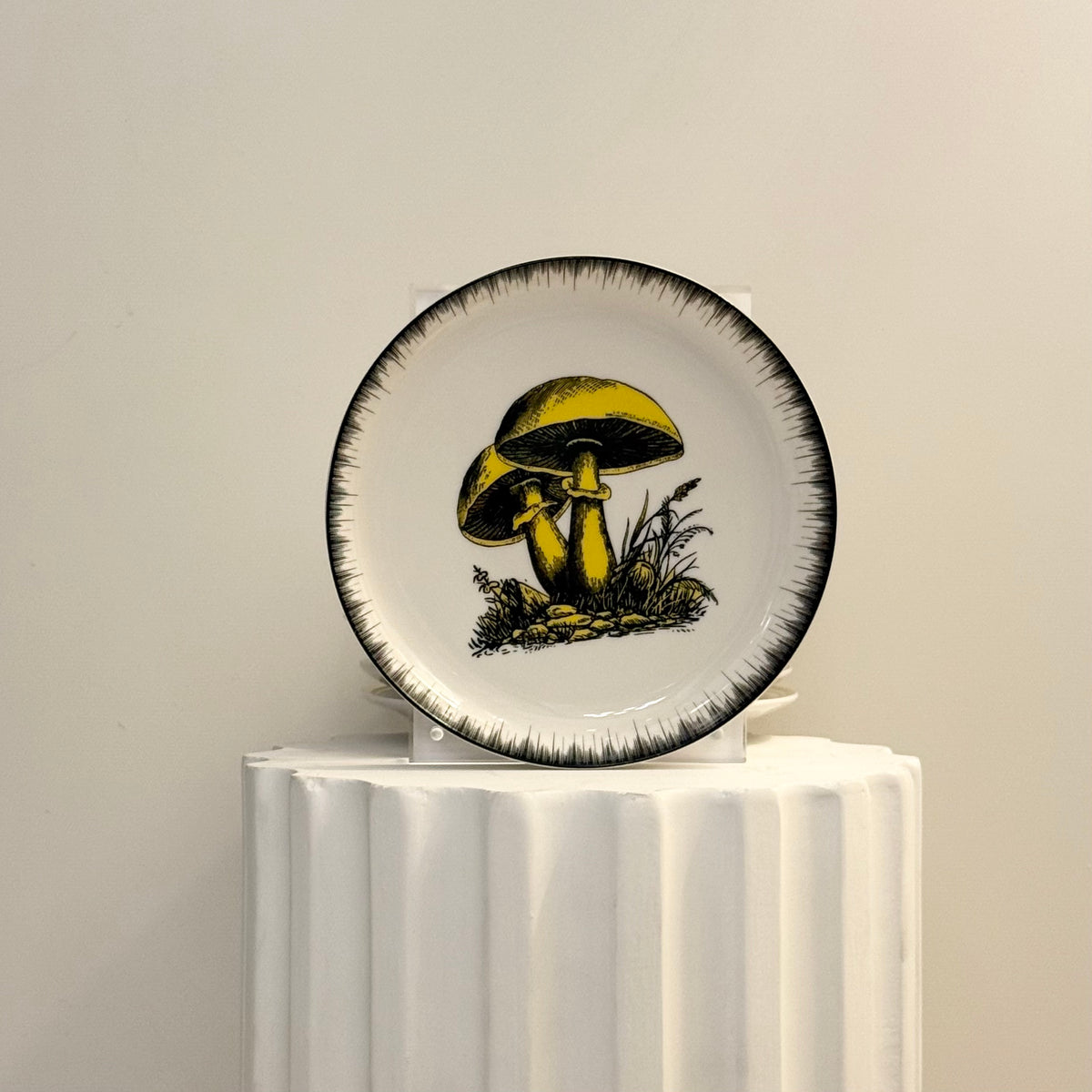 Plato Botanist Amarillo. Jonathan Adler