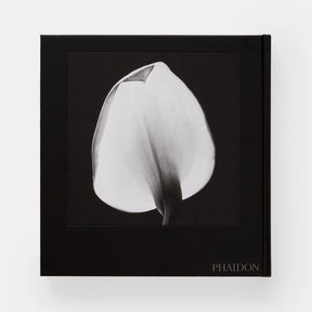 Mapplethorpe Flora