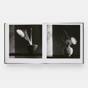 Mapplethorpe Flora