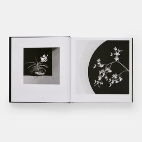 Mapplethorpe Flora