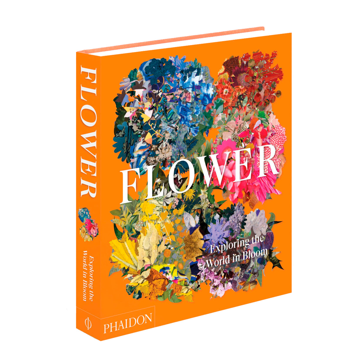 Flower. Exploring the world in Bloom