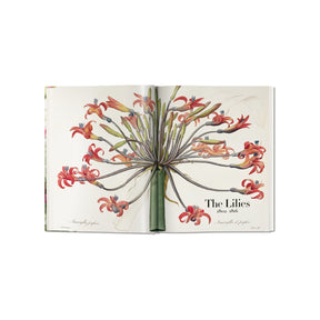 The Book Of Flowers XL