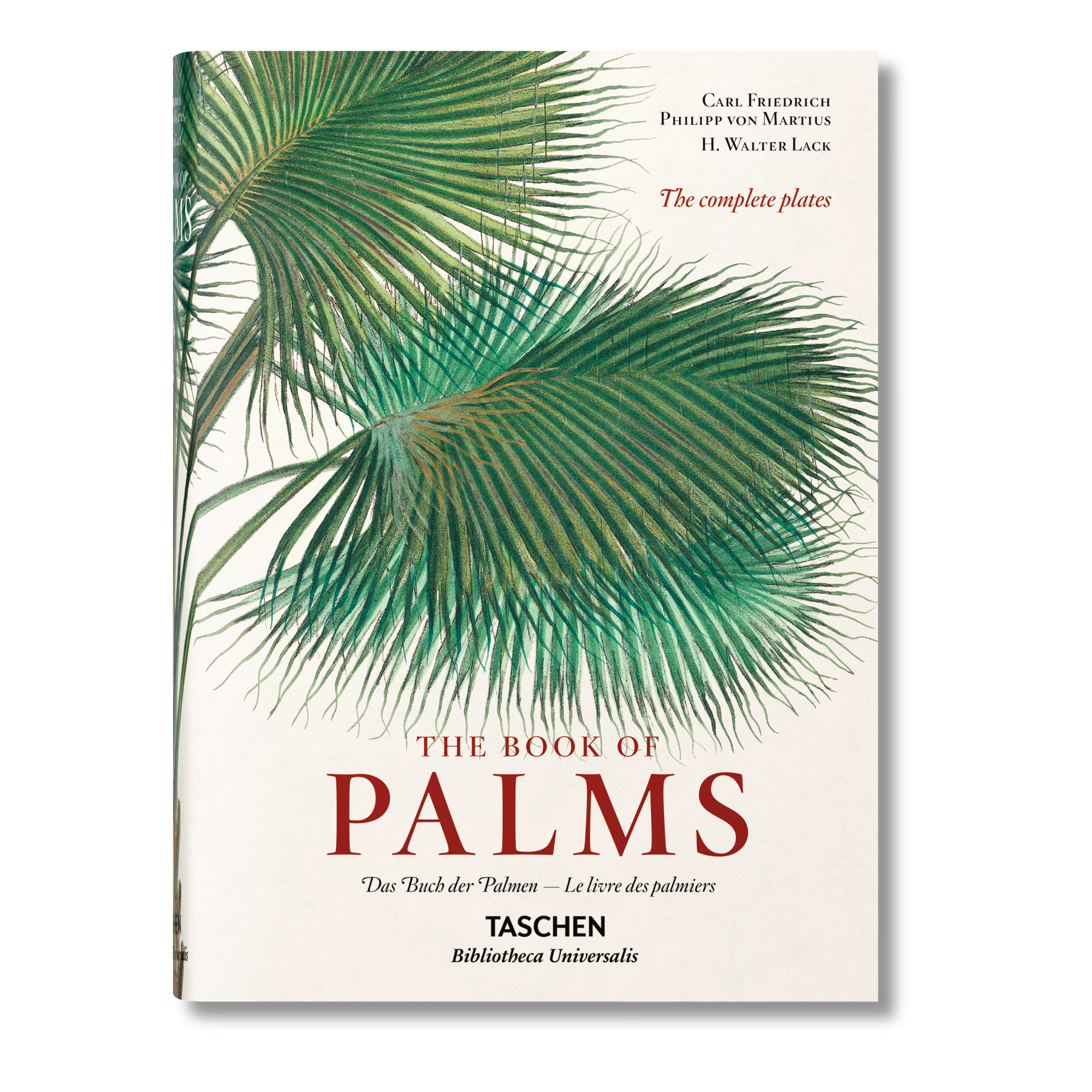 The Book of Palms XL