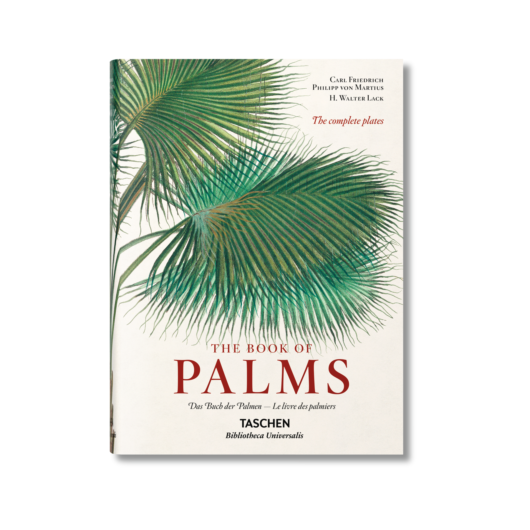 The Book of Palms. 40th Anniversary Edition