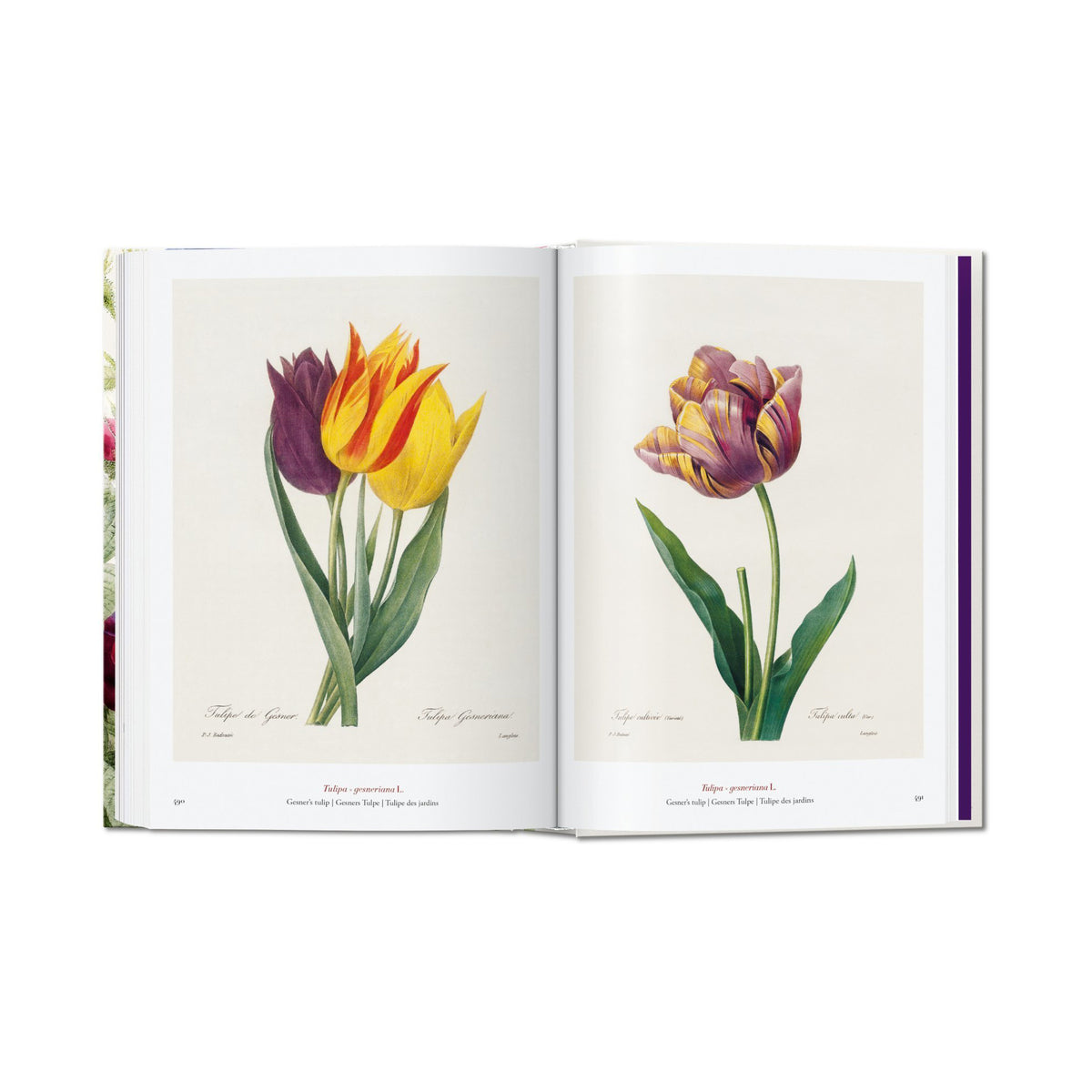 Redouté. Book of Flowers. 40th Aniversary Edition