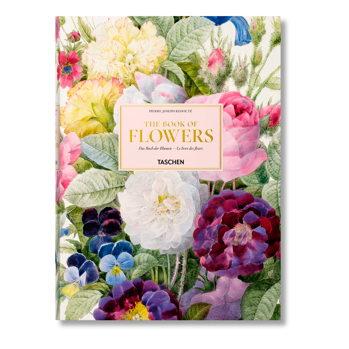 The Book Of Flowers XL